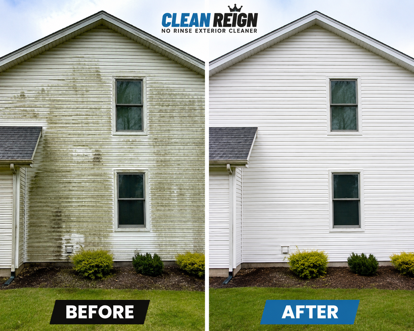 Clean Reign™ Pro |Concentrate|